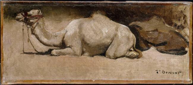 Dromadaire accroupi Léon Bonnat