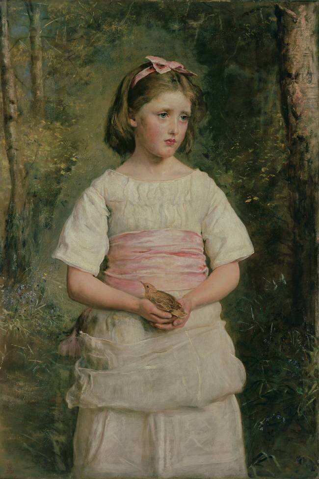 Dropped from the Nest John Everett Millais