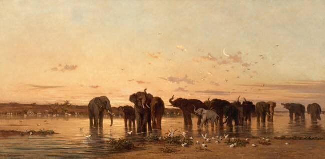 Eléphants d'Afrique Charles de Tournemine