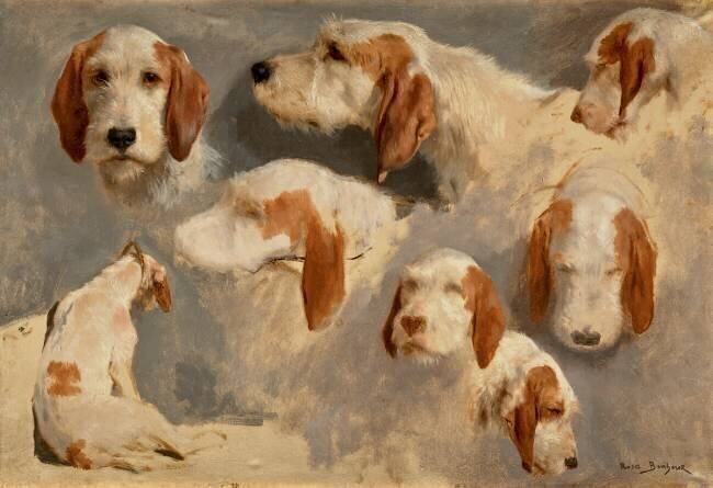 Etude de chien de chasse ; 8 esquisses Rosa Bonheur