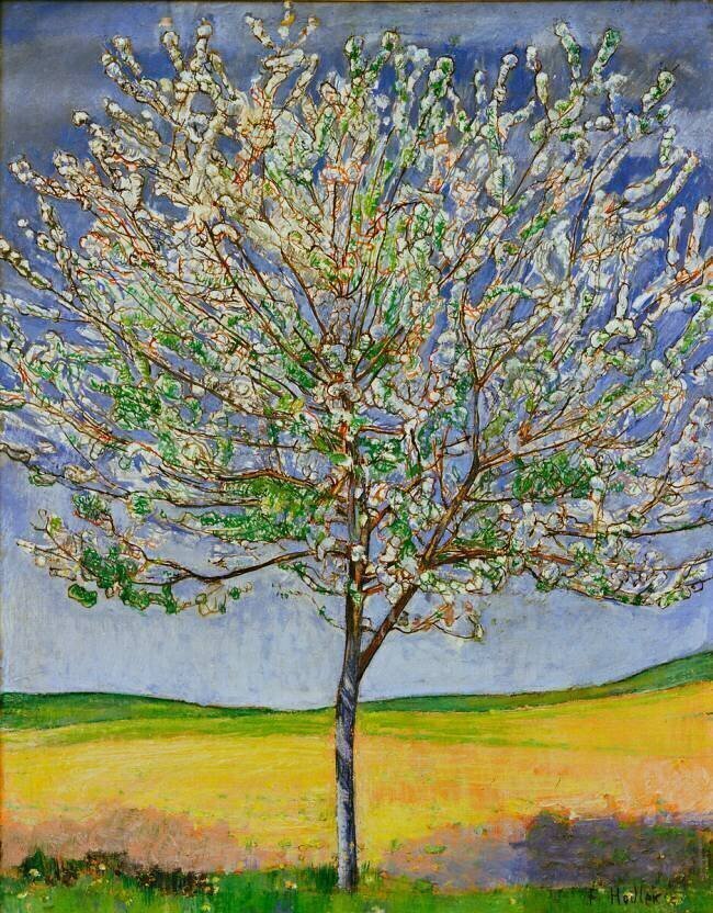 Flowering cherry tree Ferdinand Hodler