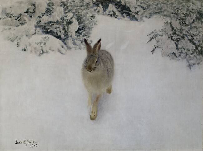Hare in Winter Bruno Liljefors