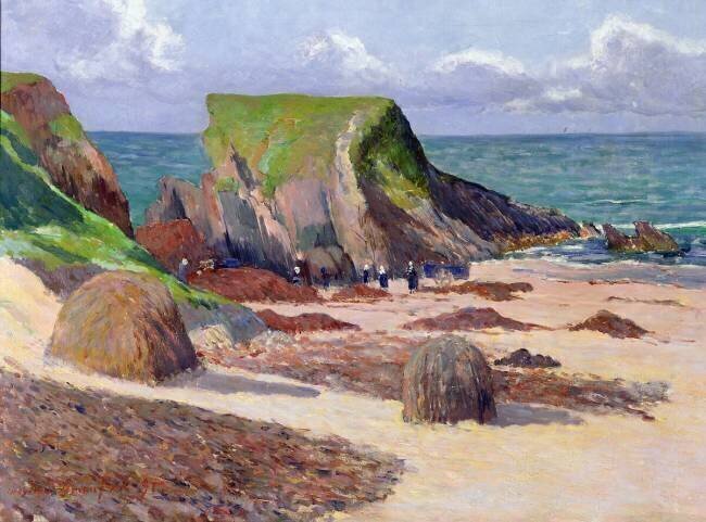 Harvesting of Seaweed Maxime Maufra