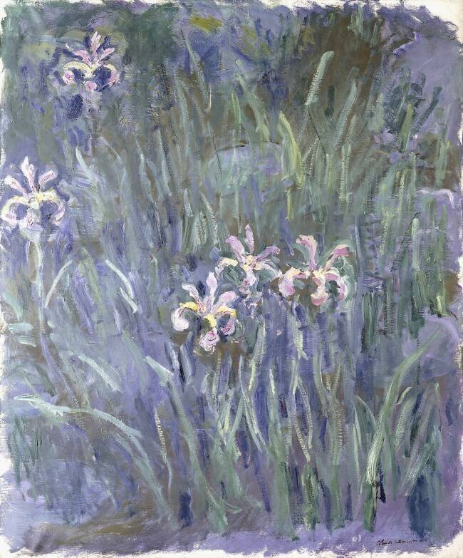 Iris Claude Monet