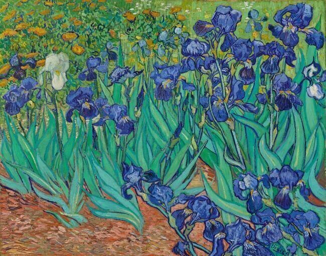 Irises Vincent van Gogh