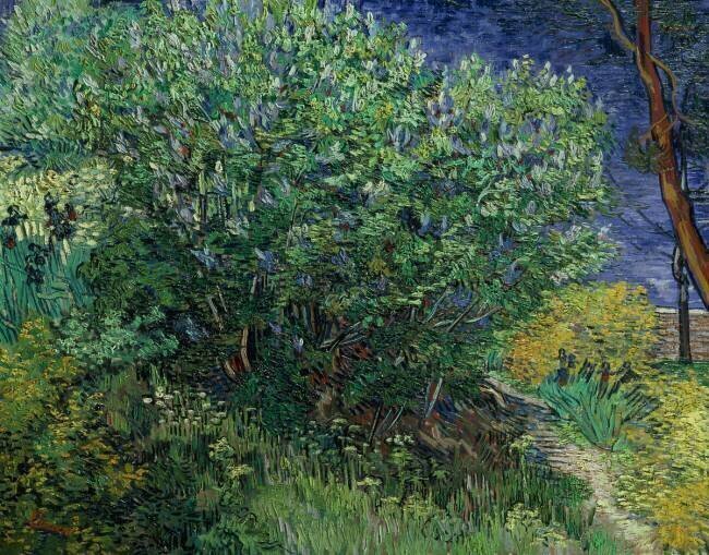 Lilac Bush Vincent van Gogh
