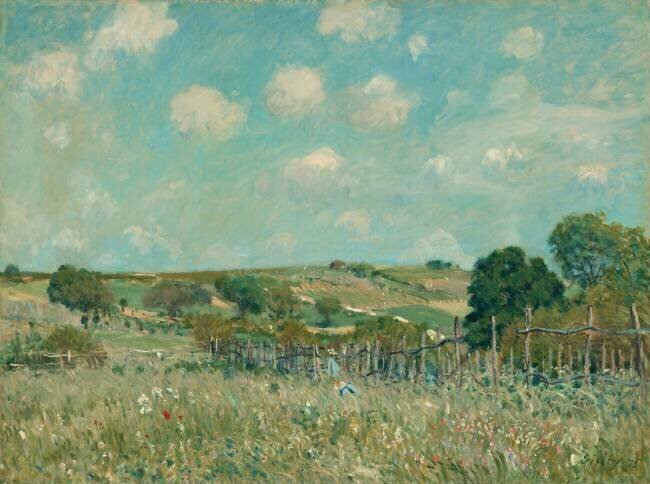 Meadow Alfred Sisley