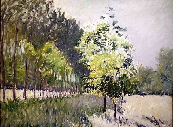 Orchard and Avenue of Trees Gustave Caillebotte