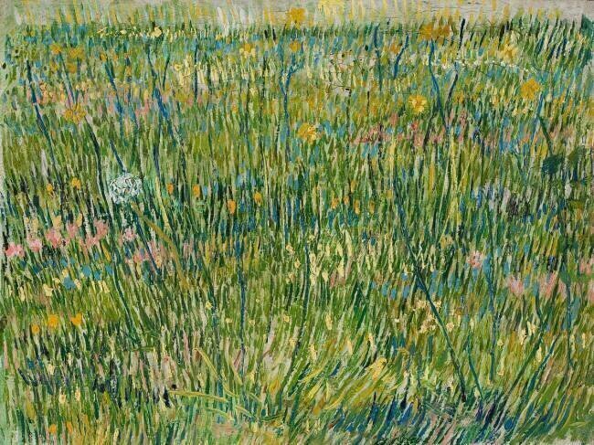 Patch of Grass Vincent van Gogh