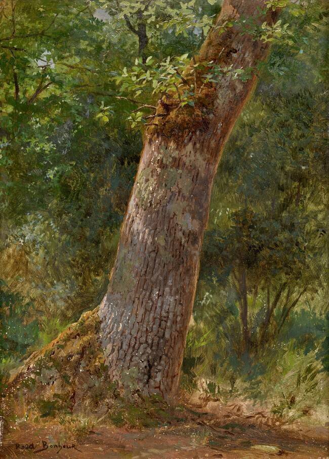Paysage, études d'arbre Rosa Bonheur
