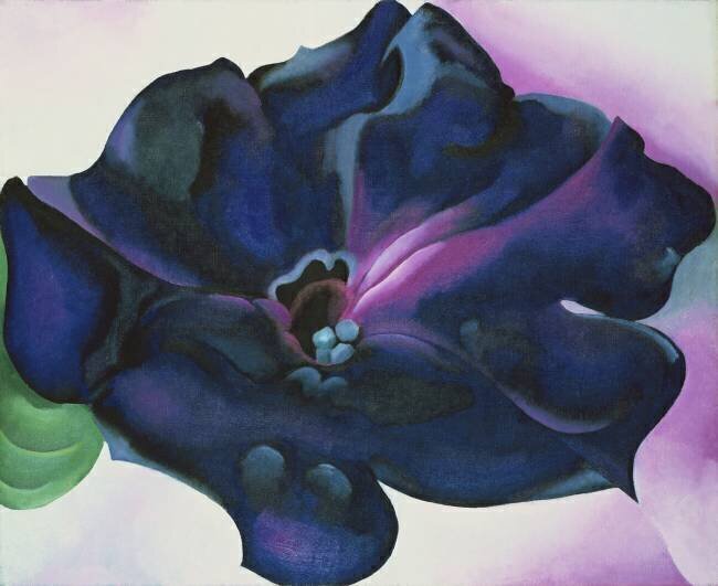 Petunia, 1925 Georgia O'Keeffe