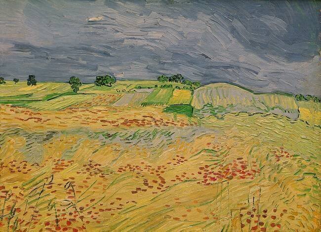 Plain at Auvers Vincent van Gogh