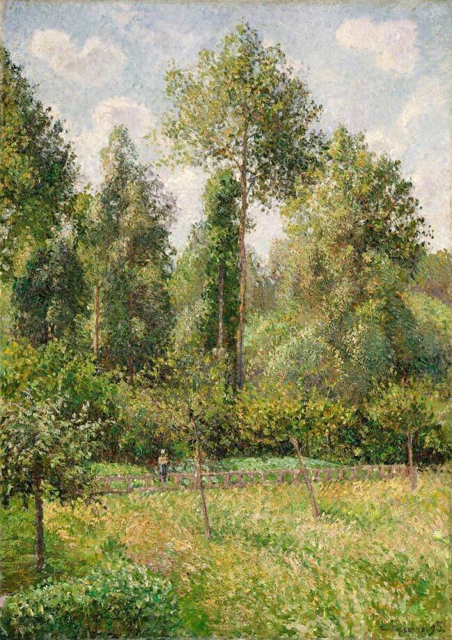 Poplars Camille Pissarro