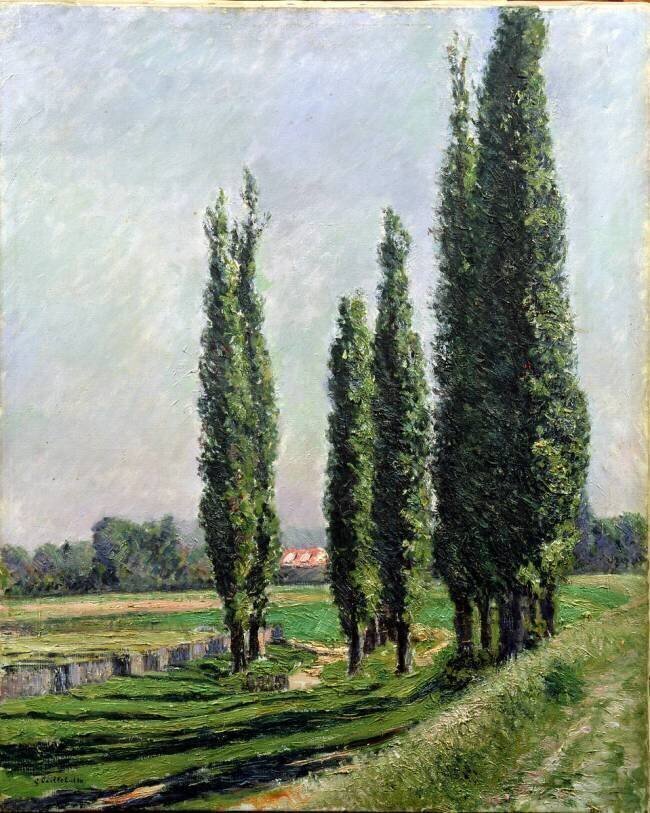 Poplars on the Riverbank at Argenteuil Gustave Caillebotte