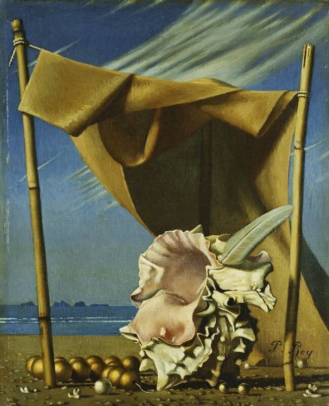 Shell and Drape Pierre Roy