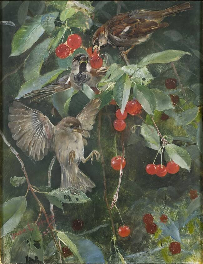 Sparrows in a Cherry Tree Bruno Liljefors