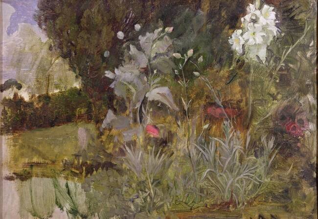 Study of Flowers and Foliage John William Waterhouse