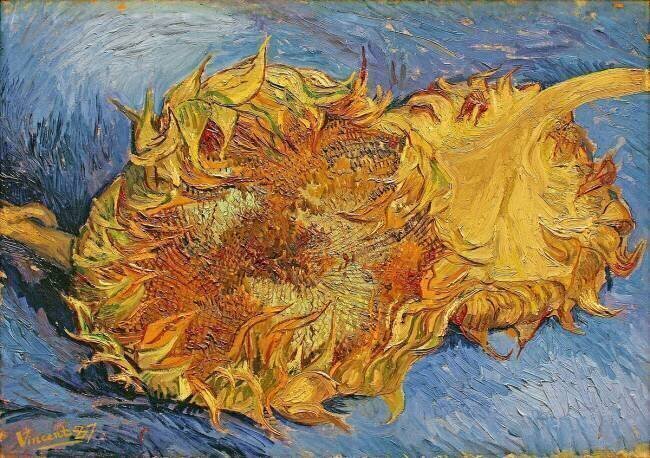Sunflowers Vincent van Gogh