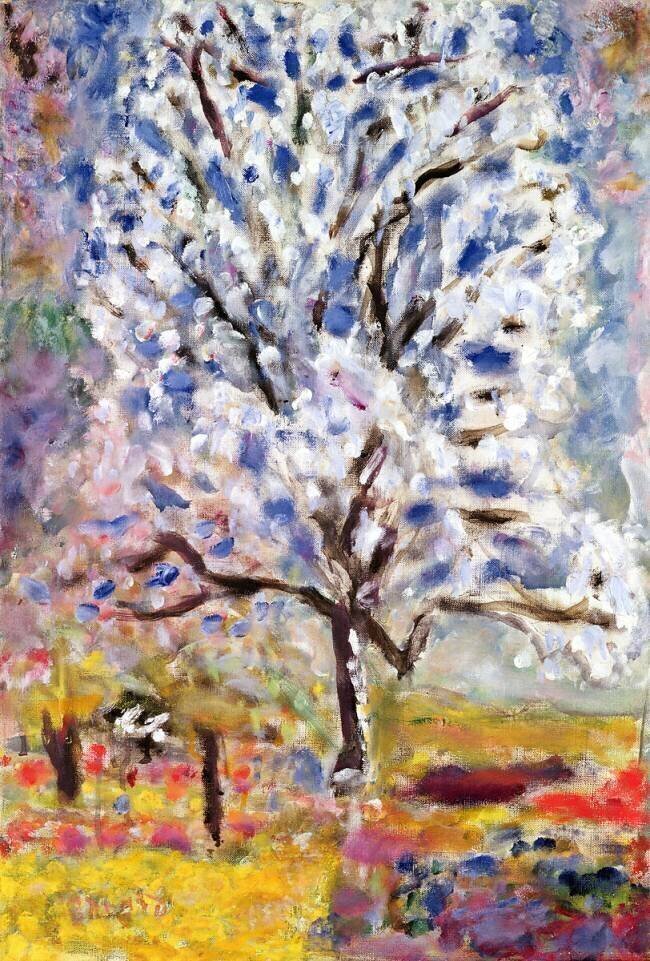 The Almond Tree in Blossom Pierre Bonnard