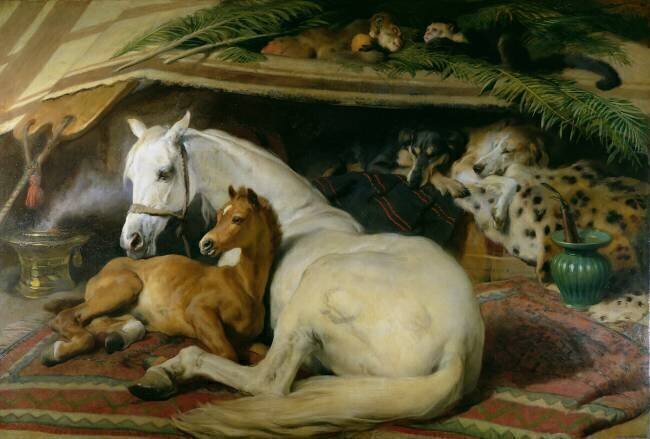 The Arab Tent Edwin Landseer