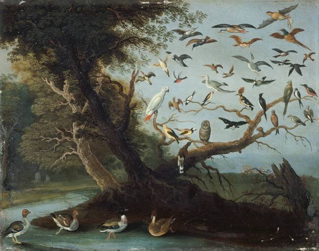 The Bird Tree Jan van Kessel