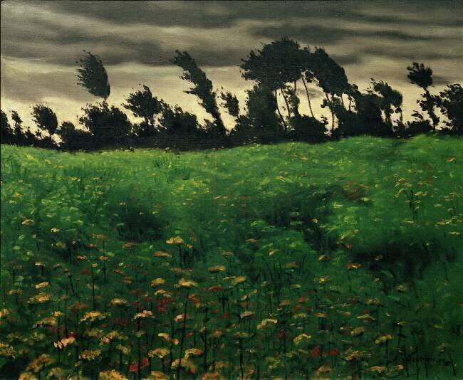 The blooming field Félix Vallotton