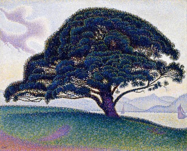 The Bonaventure Pine Paul Signac