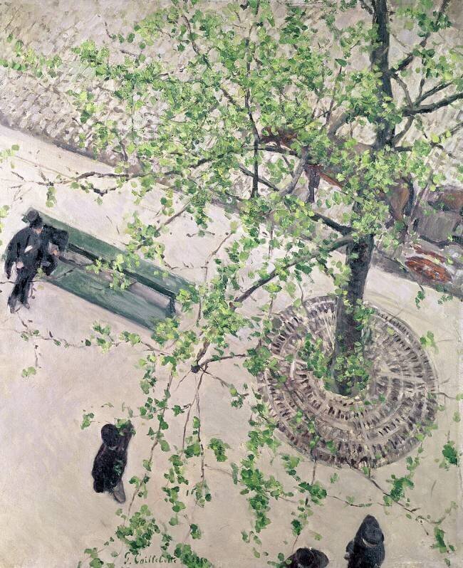 The Boulevard viewed from Above Gustave Caillebotte