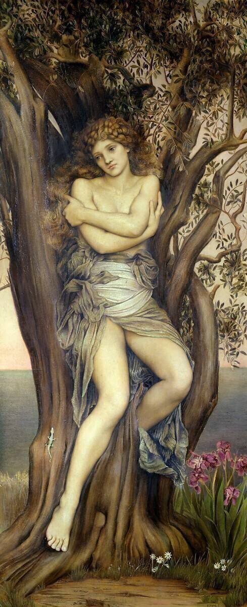 The Dryad Evelyn de Morgan