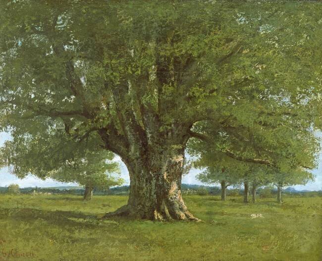 The Flagey Oak Tree Gustave Courbet