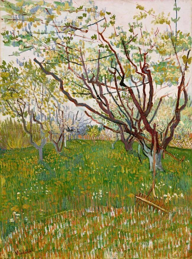 The Flowering Orchard Vincent van Gogh