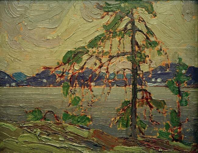 The Jack Pine (Skizze) Tom Thomson