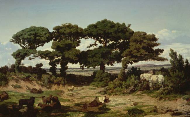The Oaks of Kertregonnec Alexandre Ségé