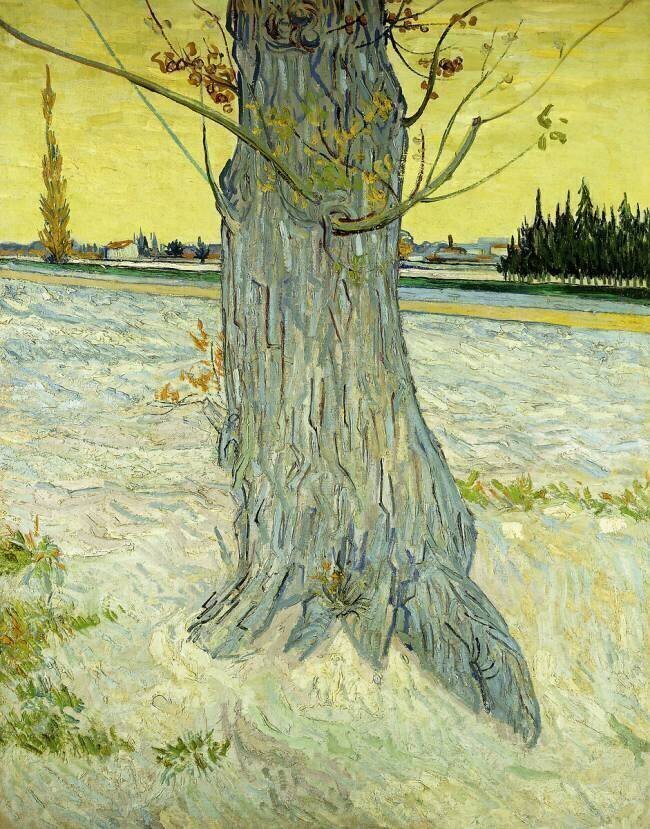 The Old Tree Vincent van Gogh