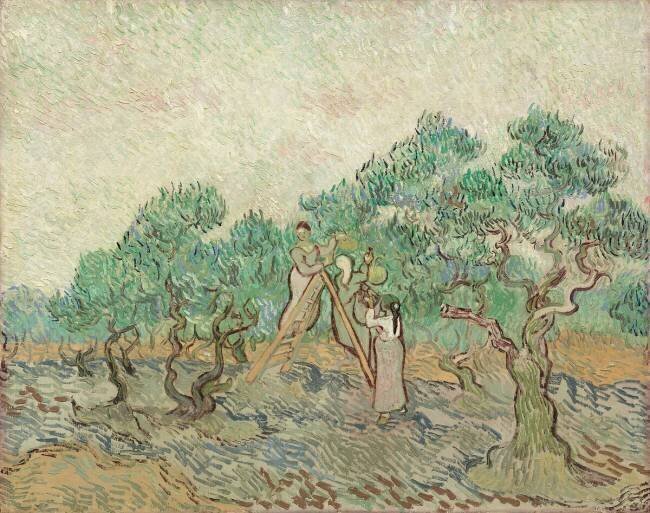 The Olive Orchard Vincent van Gogh