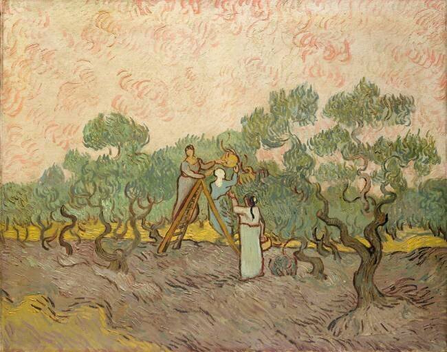 The Olive Pickers Vincent van Gogh