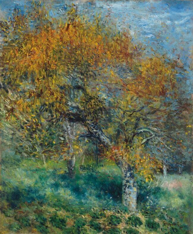The Pear Tree Auguste Renoir
