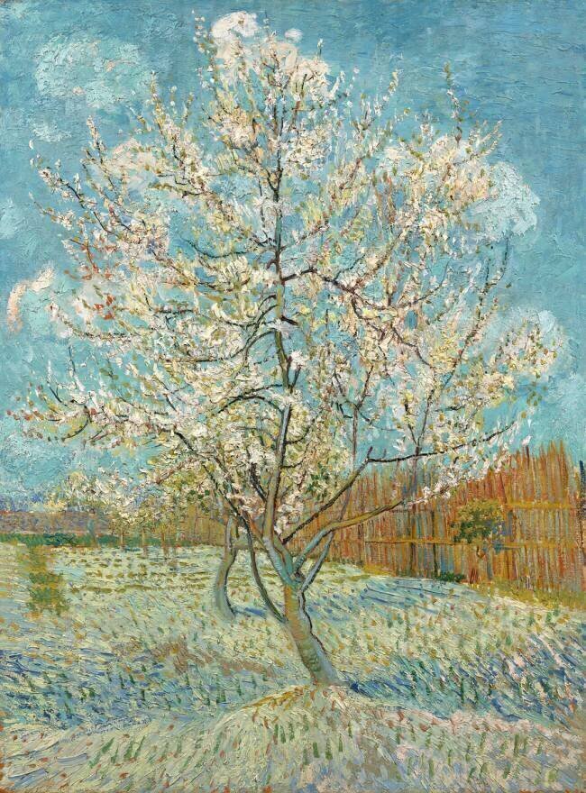 The Pink Peach Tree Vincent van Gogh