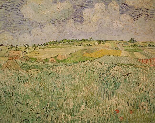 The Plain at Auvers Vincent van Gogh
