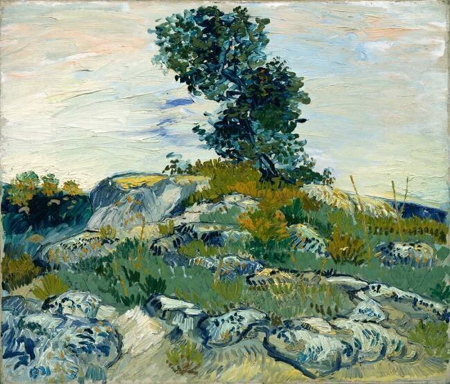 The Rocks Vincent van Gogh