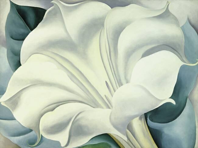 The White Flower (White Trumpet Flower) 1932  Georgia O'Keeffe