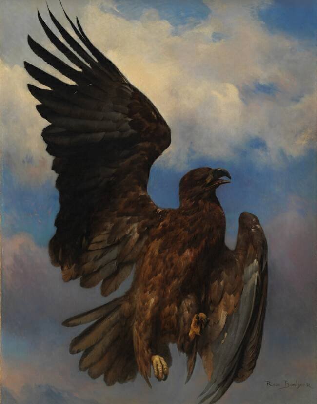The Wounded Eagle Rosa Bonheur