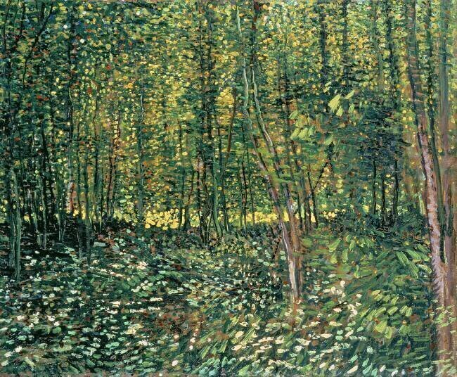 Trees and Undergrowth Vincent van Gogh