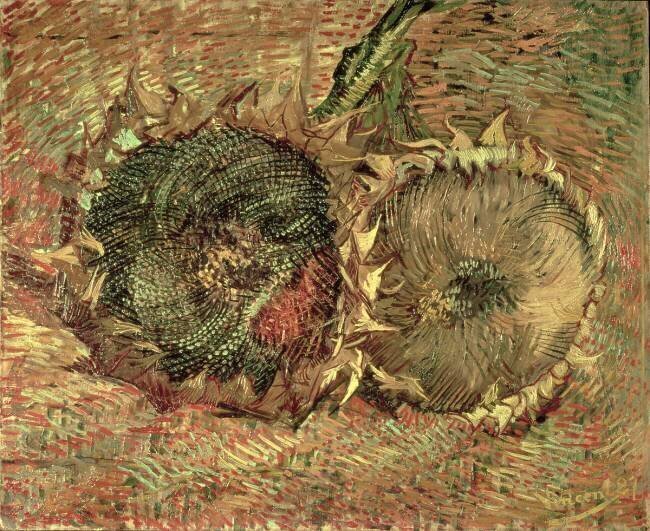 Two Cut Sunflowers Vincent van Gogh