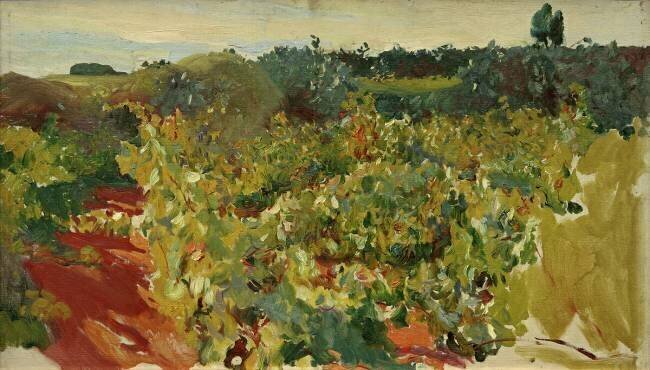 Vignes à Jerez Joaquin Sorolla y Bastida