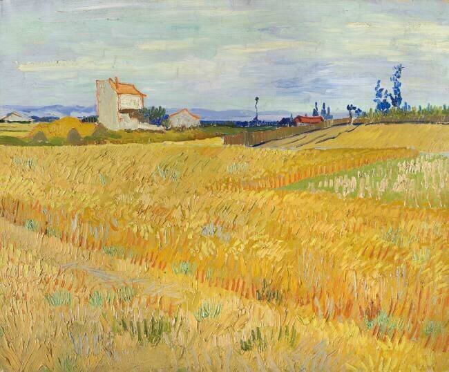 Wheat field Vincent van Gogh