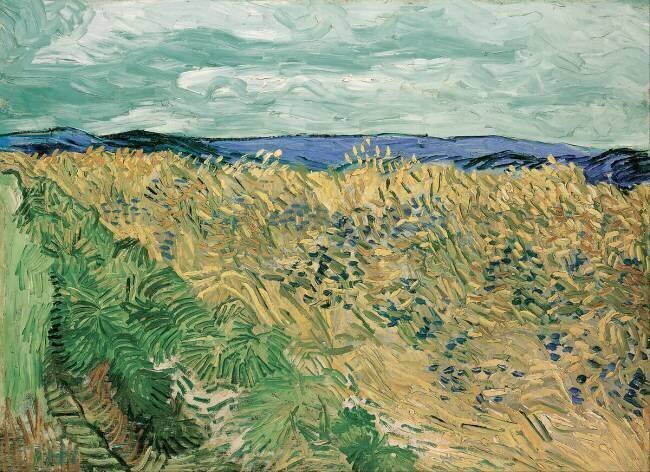 Wheatfield with Cornflowers Vincent van Gogh