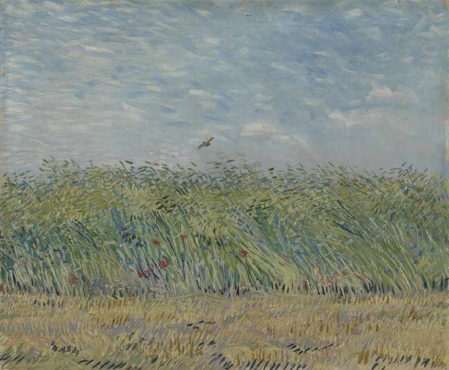 Wheatfield with Partridge Vincent van Gogh