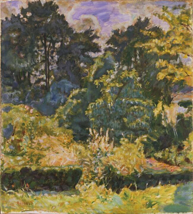 Woods in Summer Pierre Bonnard