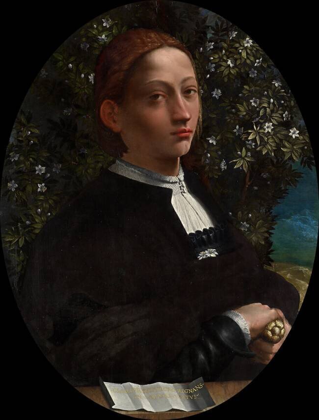 Lucrezia Borgia Battista Dossi